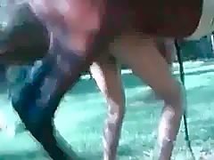Active stallion fucking woman in condom